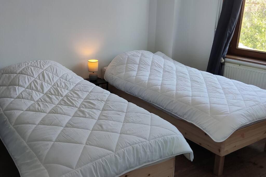 Maison Ronchin/Lille - Proche Toutes Commodites Εξωτερικό φωτογραφία